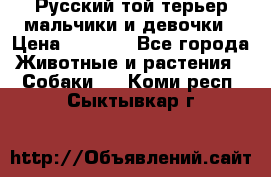 Русский той-терьер мальчики и девочки › Цена ­ 8 000 - Все города Животные и растения » Собаки   . Коми респ.,Сыктывкар г.